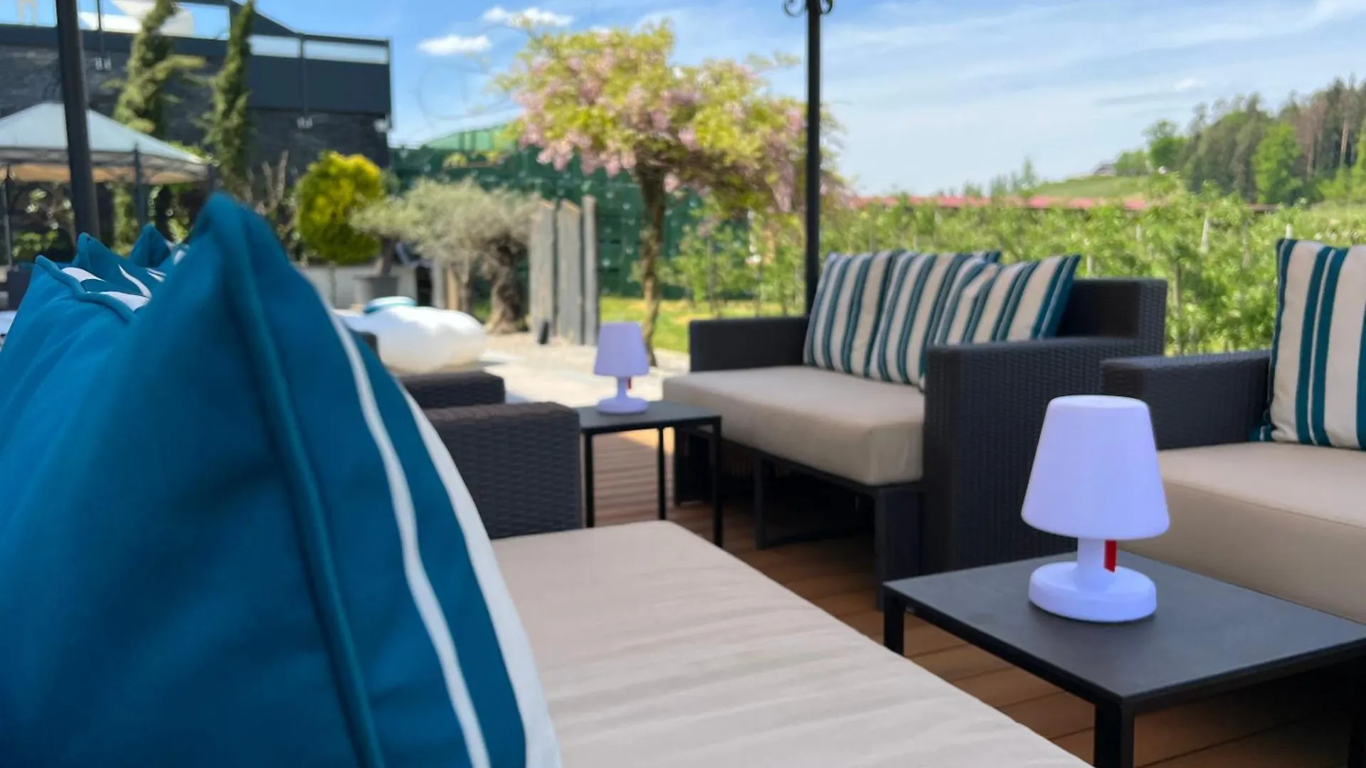 Poolhaus Bodensee Ideal Fuer Geschaeftsreisende Wasserburg am Bodensee Apartment